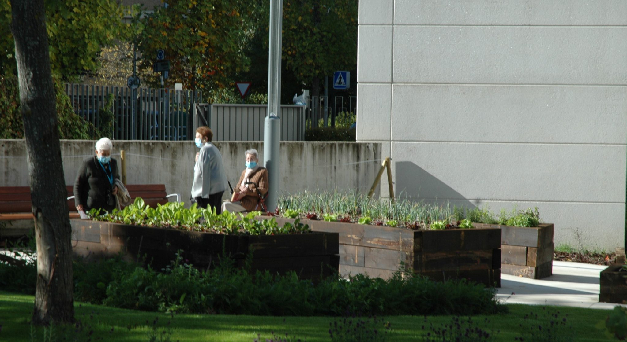 Personas en el nuevo jardin